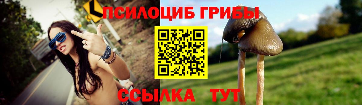 Галлюциногенные грибы прущие грибы  Вход с VPN  Фурманов 